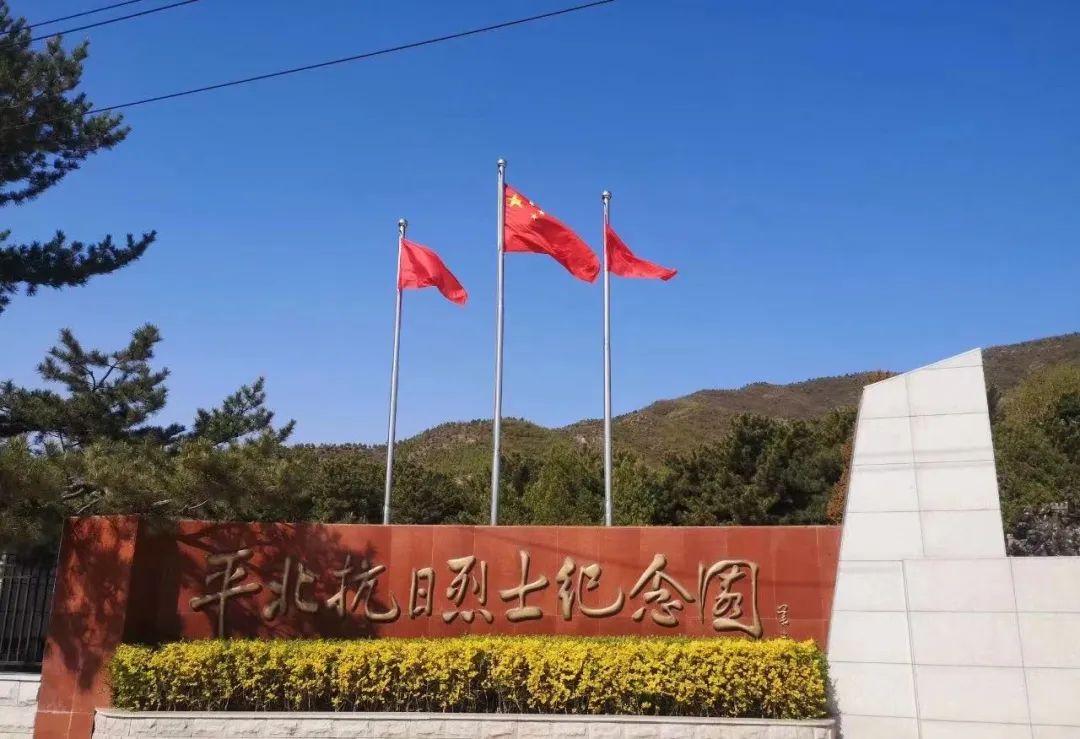 公告(图1)